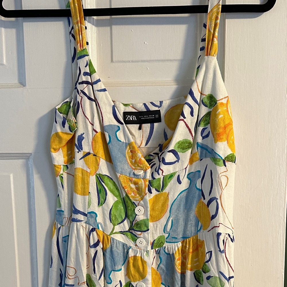 Zara Multicolor Fruit Print Dress